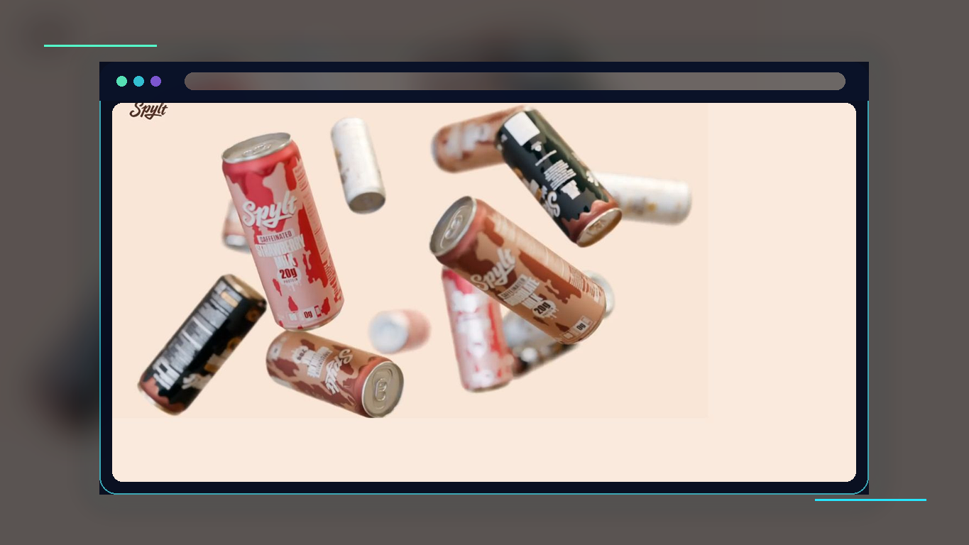 Preview of Spylt Website